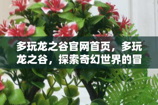 探索奇幻世界的冒险之旅图片