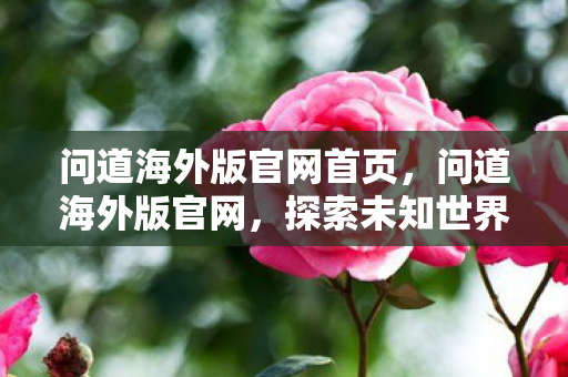 探索未知世界的奇幻之旅图片