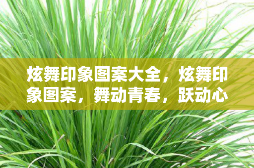 炫舞印象图案大全，炫舞印象图案，舞动青春，跃动心灵的艺术展现