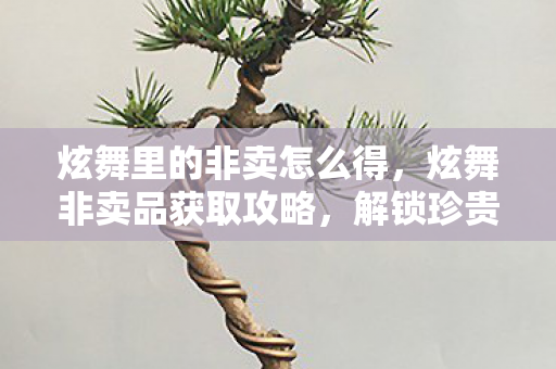 炫舞里的非卖怎么得图片