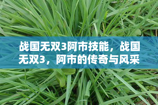 战国无双3阿市技能图片