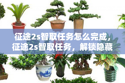 征途2s智取任务怎么完成图片