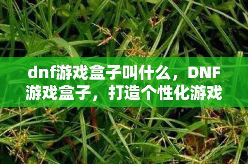 打造个性化游戏体验的必备神器图片