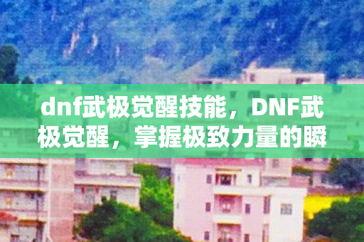 dnf武极觉醒技能图片