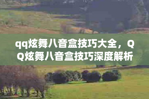 qq炫舞八音盒技巧大全，QQ炫舞八音盒技巧深度解析