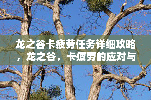 龙之谷卡疲劳任务详细攻略图片