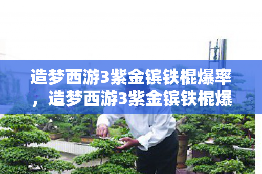 造梦西游3紫金镔铁棍爆点全解析图片