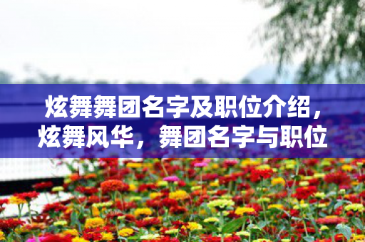 炫舞舞团名字及职位介绍，炫舞风华，舞团名字与职位详解