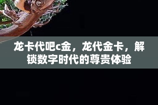 解锁数字时代的尊贵体验图片