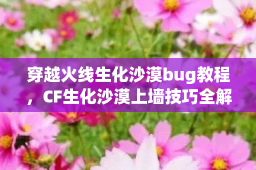 穿越火线生化沙漠bug教程图片