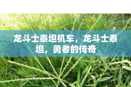 龙斗士泰坦机车图片