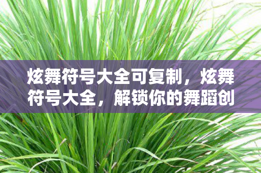 炫舞符号大全可复制图片