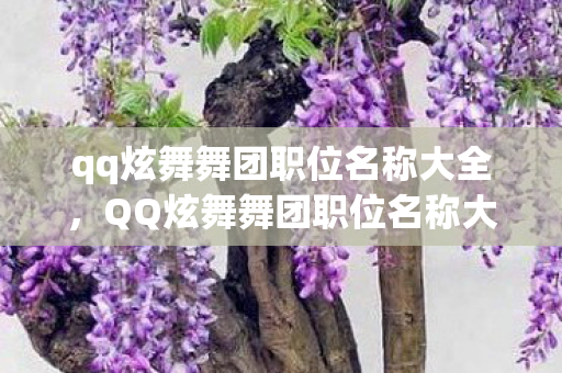 qq炫舞舞团职位名称大全，QQ炫舞舞团职位名称大全及解析