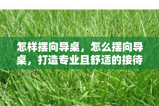 打造专业且舒适的接待空间图片