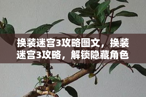 解锁隐藏角色与无限可能的时尚冒险图片