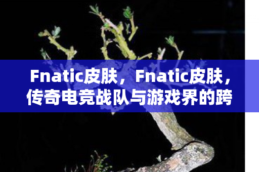 传奇电竞战队与游戏界的跨界合作图片