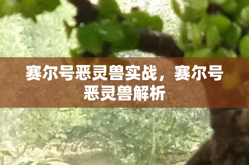 赛尔号恶灵兽实战图片