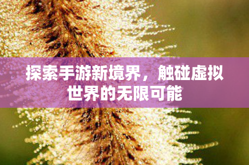 触碰虚拟世界的无限可能图片