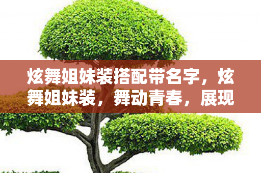 炫舞姐妹装搭配带名字，炫舞姐妹装，舞动青春，展现独特魅力