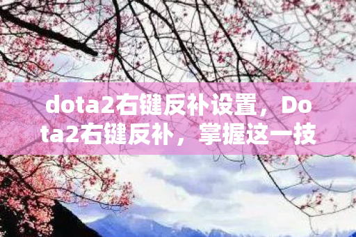 dota2右键反补设置图片