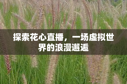 一场虚拟世界的浪漫邂逅图片