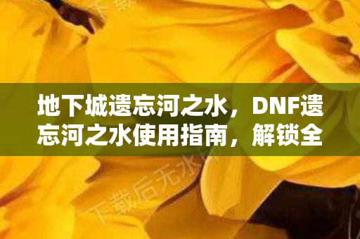 DNF遗忘河之水使用指南图片
