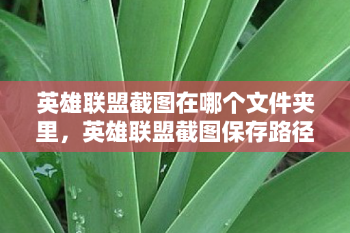 英雄联盟截图在哪个文件夹里图片