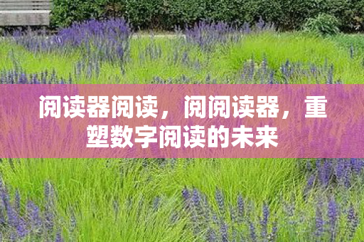 重塑数字阅读的未来图片