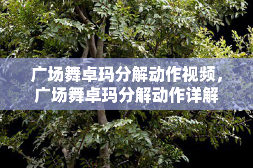 广场舞卓玛分解动作视频图片