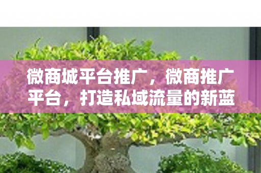 打造私域流量的新蓝海图片