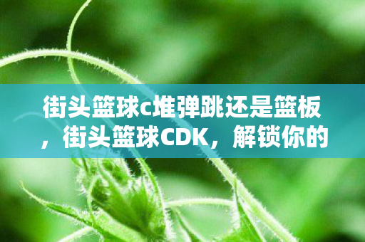 街头篮球c堆弹跳还是篮板图片