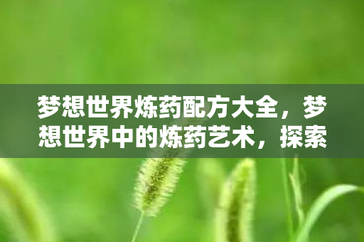 梦想世界炼药配方大全图片