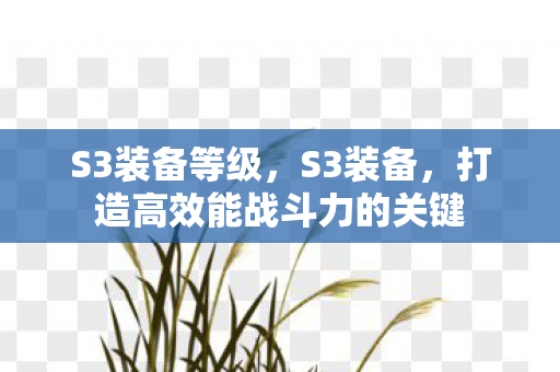 打造高效能战斗力的关键图片