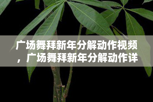 广场舞拜新年分解动作视频图片