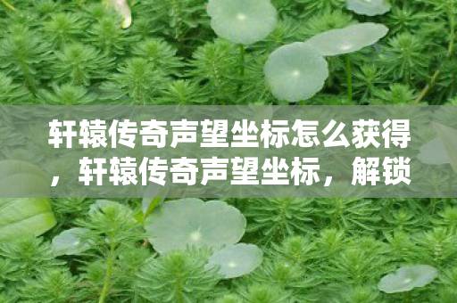 轩辕传奇声望坐标怎么获得图片