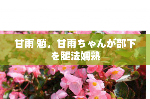 甘雨ちゃんが部下を腿法娴熟图片