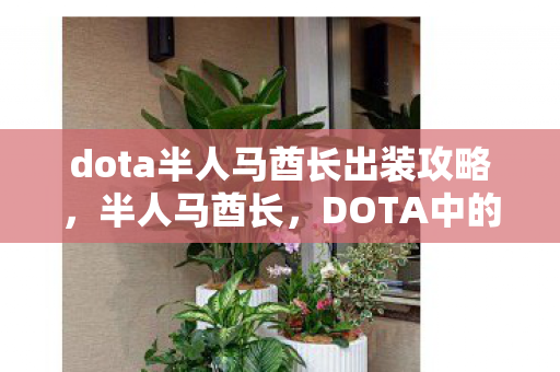 DOTA中的重装战士出装指南图片