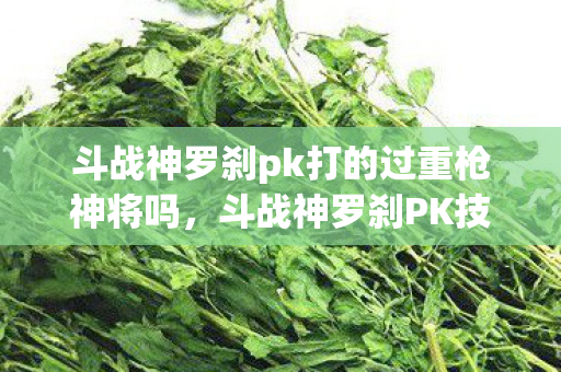 斗战神罗刹pk打的过重枪神将吗图片