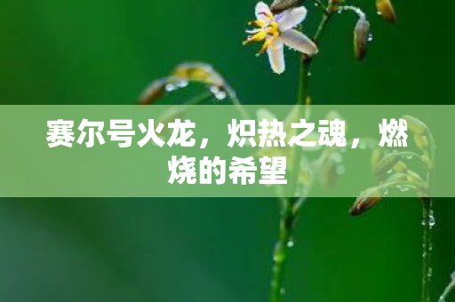 赛尔号火龙图片