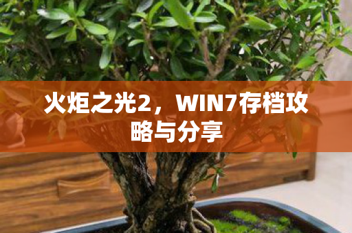 WIN7存档攻略与分享图片