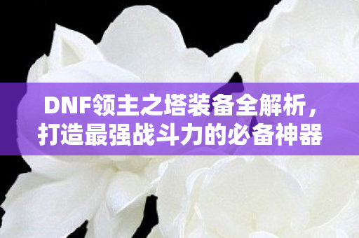 DNF领主之塔装备全解析图片
