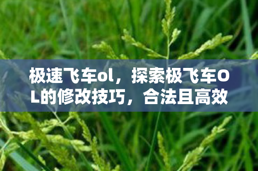 探索极飞车OL的修改技巧图片