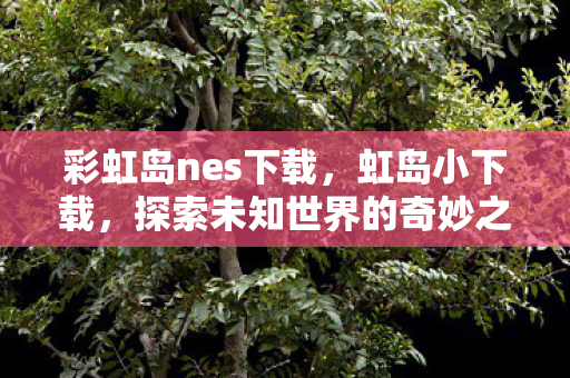 探索未知世界的奇妙之旅图片