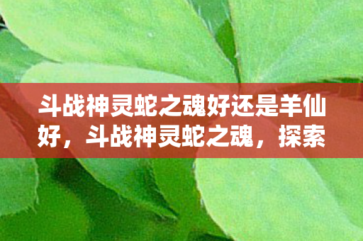 斗战神灵蛇之魂好还是羊仙好图片