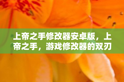 上帝之手修改器安卓版图片