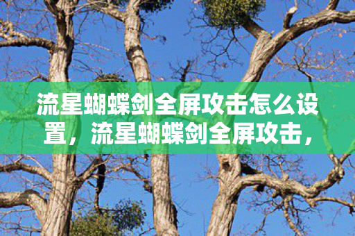 流星蝴蝶剑全屏攻击怎么设置图片