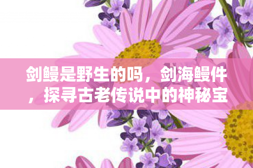 剑鳗是野生的吗，剑海鳗件，探寻古老传说中的神秘宝藏