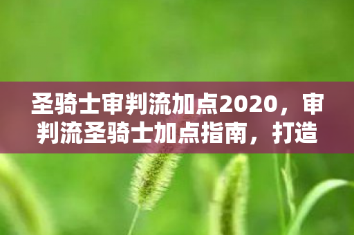圣骑士审判流加点2020图片