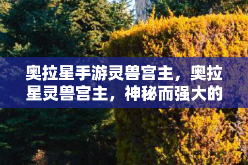 奥拉星手游灵兽宫主图片