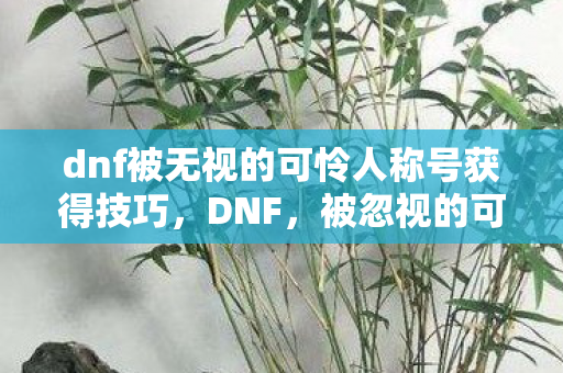 dnf被无视的可怜人称号获得技巧图片